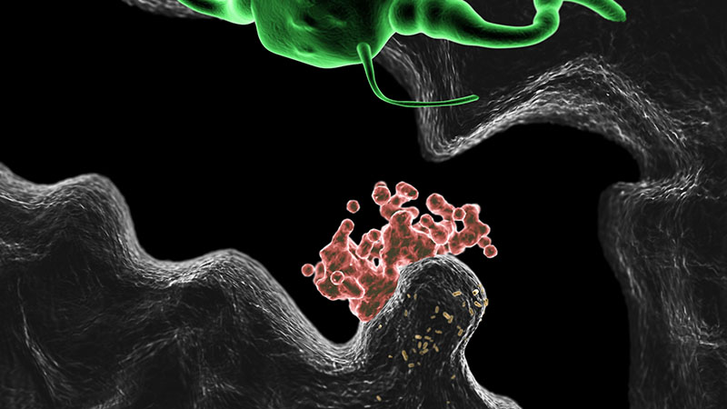 Image illustration 19.jpg